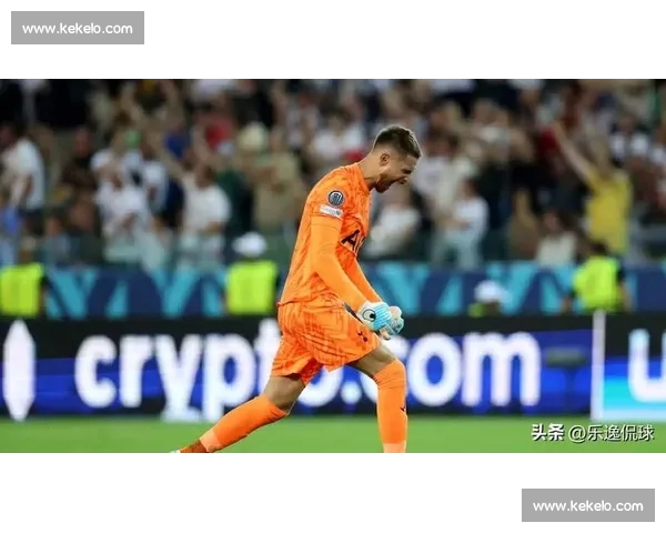 汉堡布鲁日竞逐武什科维奇 热刺新帅弗兰克将评估租借可行性 汉堡布鲁日竞逐武什科维奇 热刺新帅弗兰克将评估租借可行性